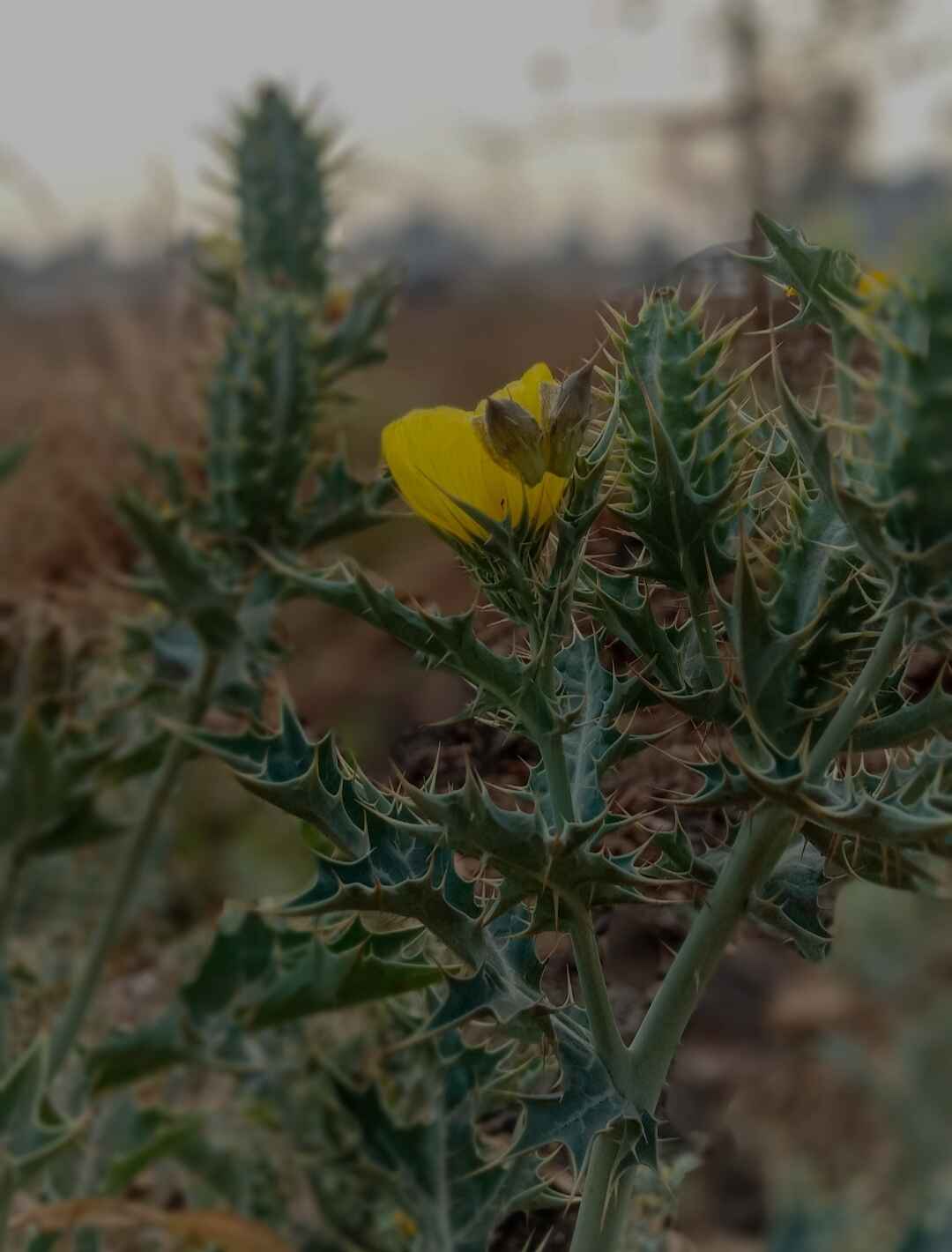 Photography 4